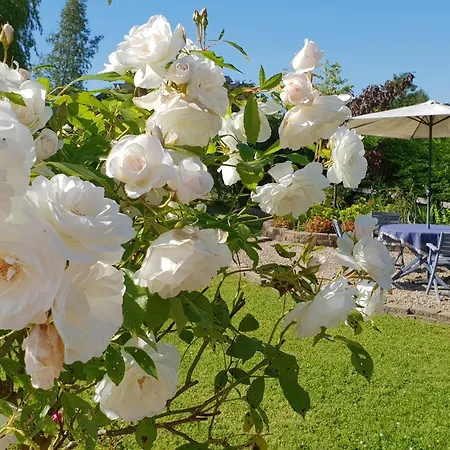 Cherville Bed & Breakfast-2